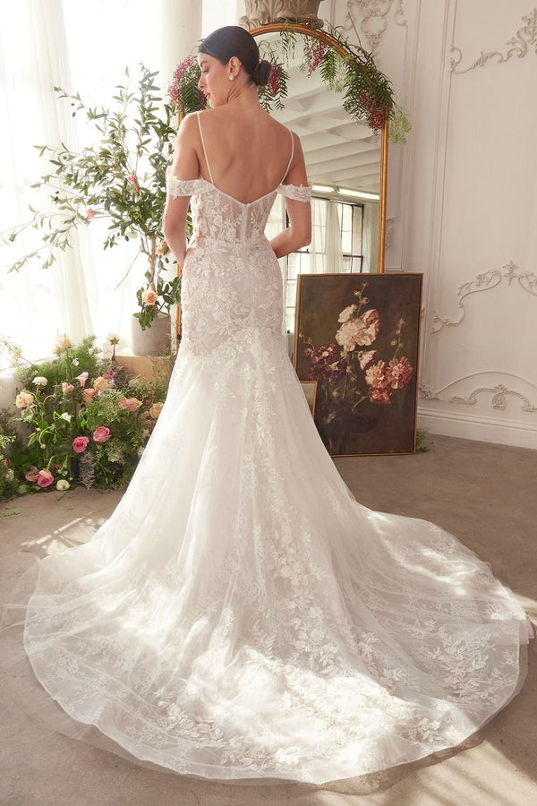 Women's Formal Wear